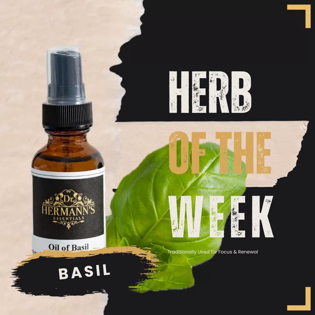 029 Herb of the Week Basil