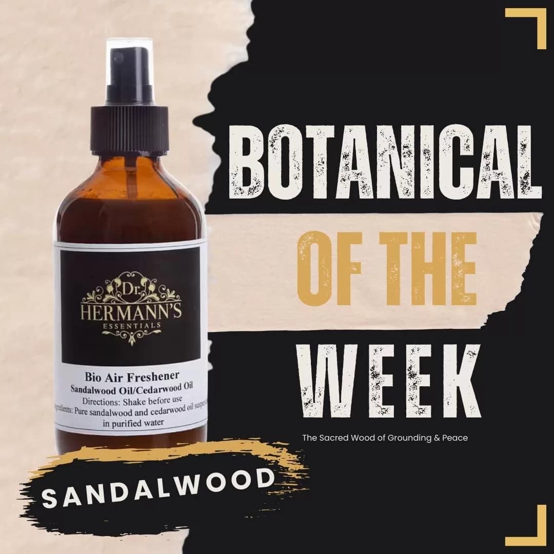 029 Botanical of the Week: Sandalwood