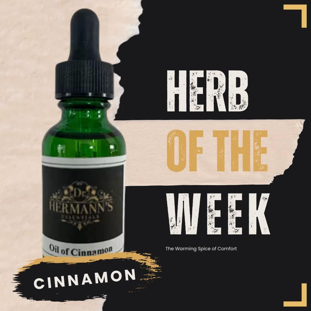 Cinnamon: The Warming Spice of Comfort, Vitality & Sweet Indulgence