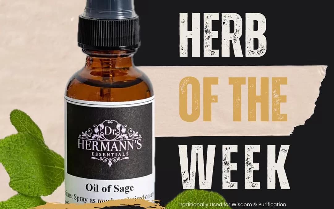 Sage: The Sacred Herb of Wisdom, Purification & Culinary Warmth