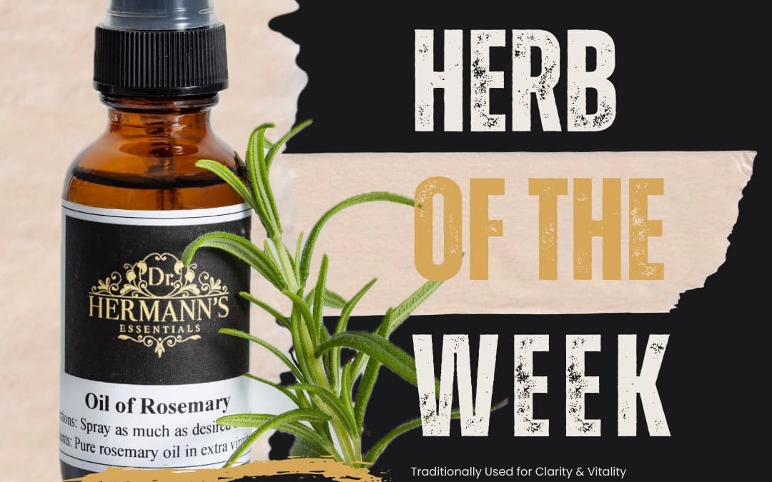 Rosemary: The Herb of Remembrance, Focus & Invigoration