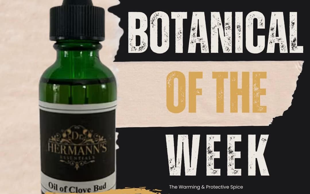 Clove Bud: The Warming Spice of Comfort, Protection & Festive Flavor