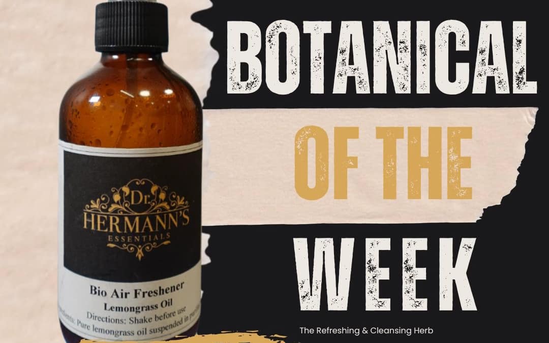 Lemongrass: The Refreshing, Cleansing, Uplifting Herb