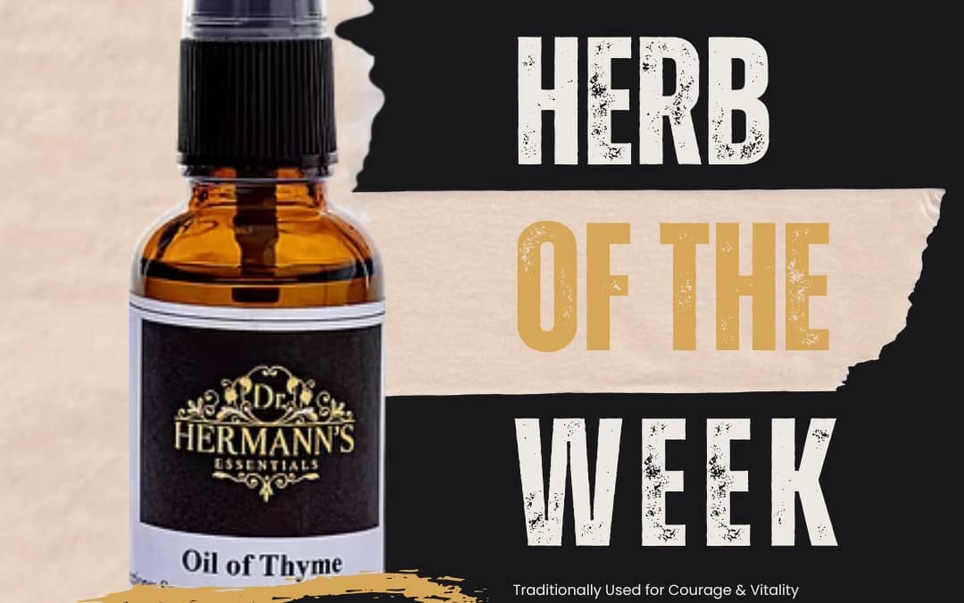 Thyme: The Heroic Herb of Courage, Purification & Respiratory Wellness