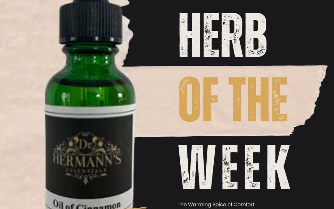 Cinnamon: The Warming Spice of Comfort, Vitality & Sweet Indulgence