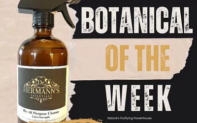 Tea Tree: The Multi-Purpose Powerhouse in Your Natural Cleaning Arsenal