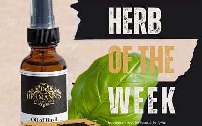 Basil: The Sacred Herb of Clarity, Calm & Culinary Delight