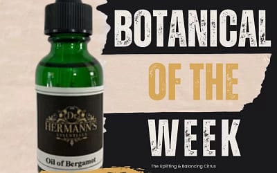 Bergamot: The Uplifting Citrus That Calms the Spirit