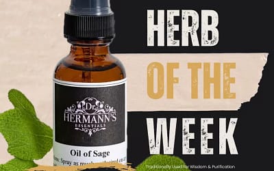 Sage: The Sacred Herb of Wisdom, Purification & Culinary Warmth