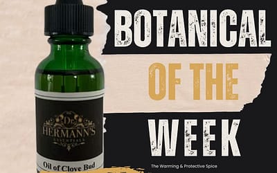 Clove Bud: The Warming Spice of Comfort, Protection & Festive Flavor