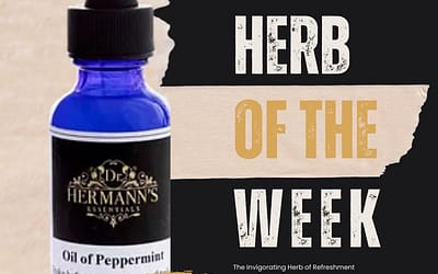 Peppermint: The Invigorating Herb of Refreshment, Focus & Digestive Ease
