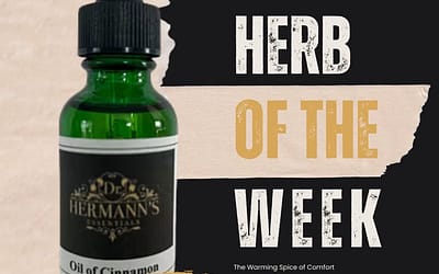 Cinnamon: The Warming Spice of Comfort, Vitality & Sweet Indulgence
